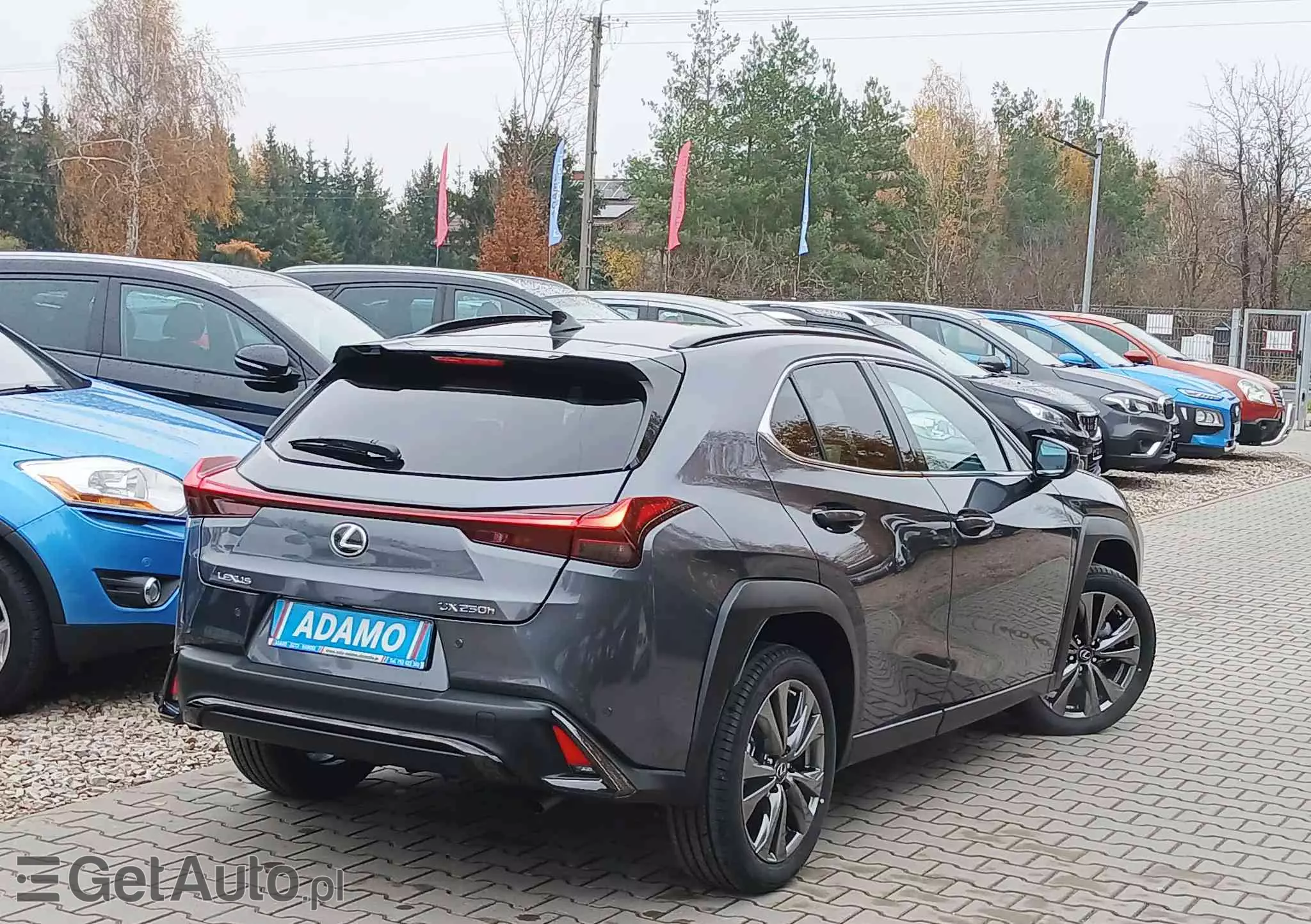 LEXUS UX 250h F SPORT Design