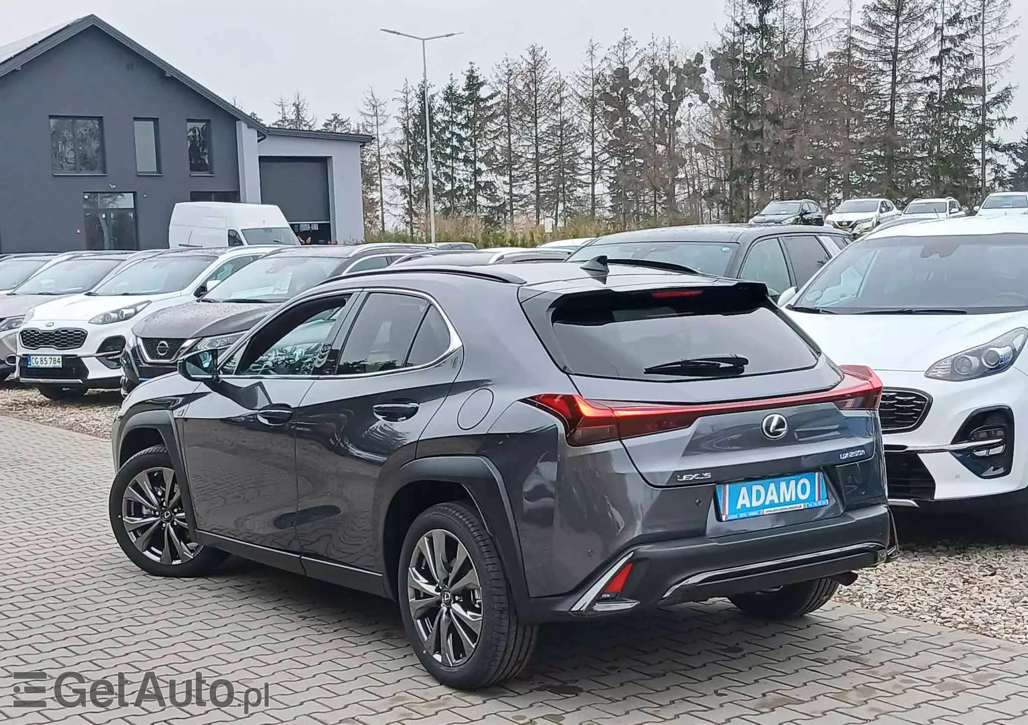 LEXUS UX 250h F SPORT Design