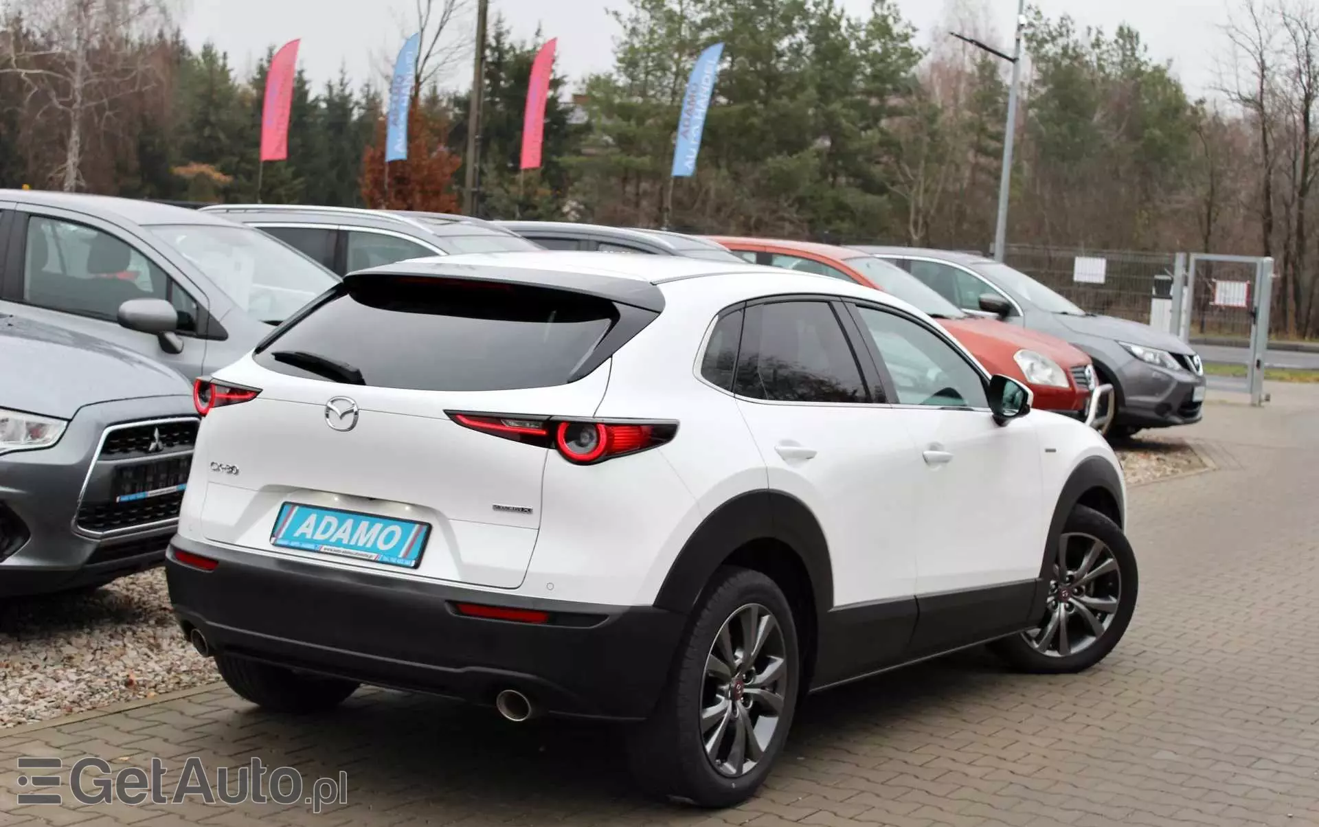 MAZDA CX-30 SKYACTIV-X 2.0 M-Hybrid 100th Anniversary