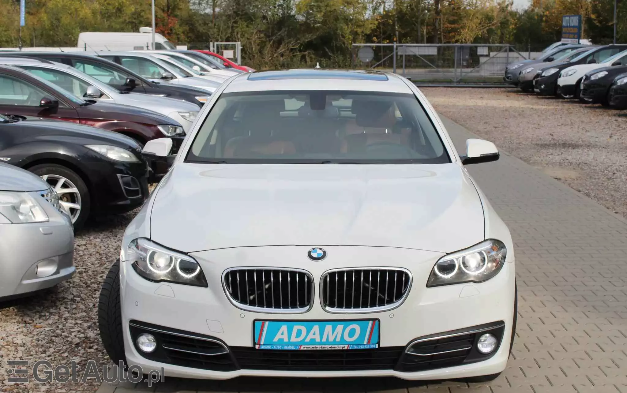 BMW Seria 5 520d xDrive Luxury Line