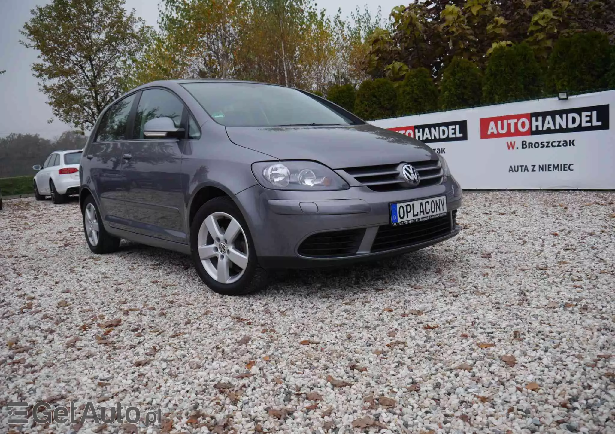 VOLKSWAGEN Golf Plus 1.6 Trendline