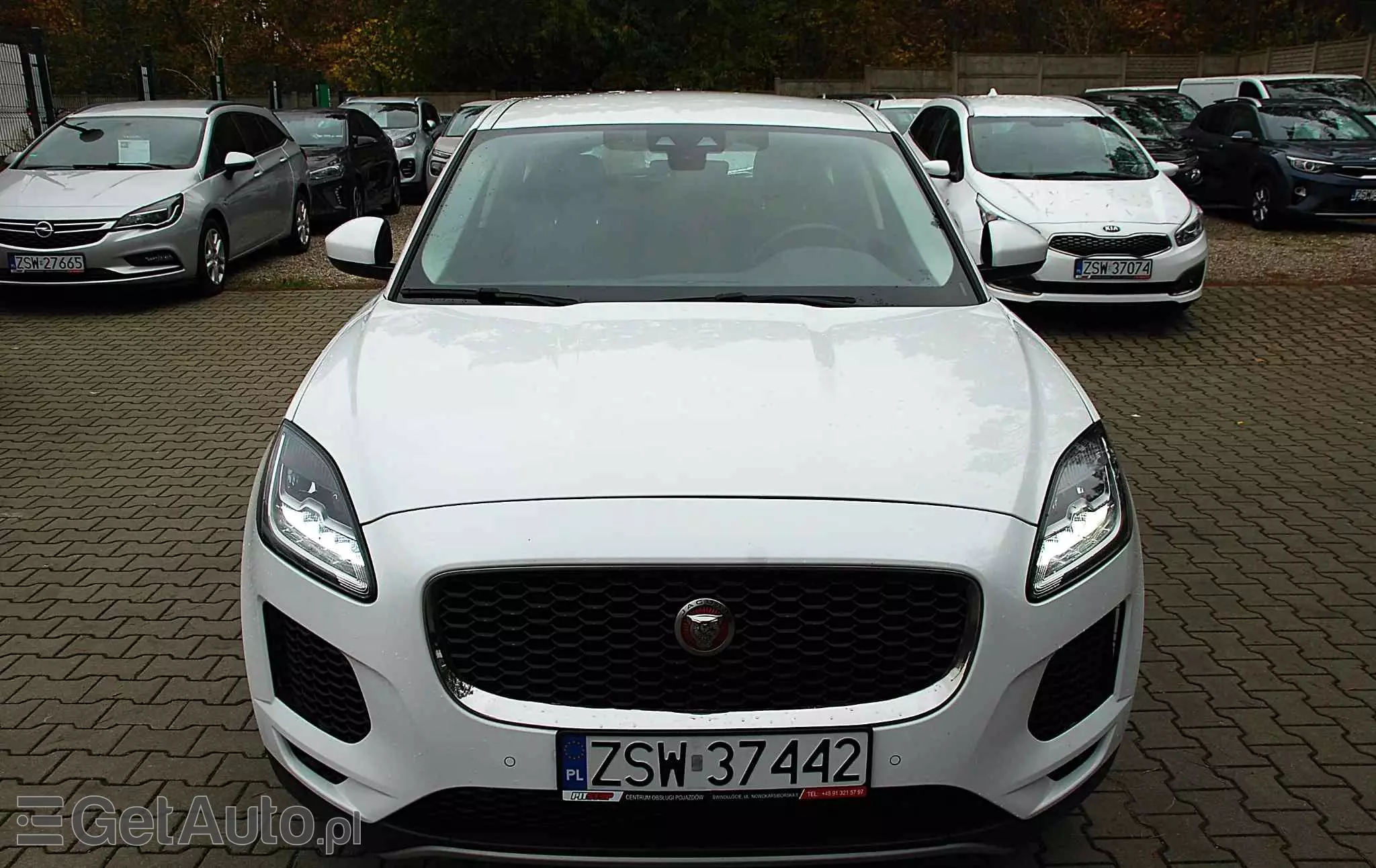 JAGUAR E-Pace D150 R-Dynamic