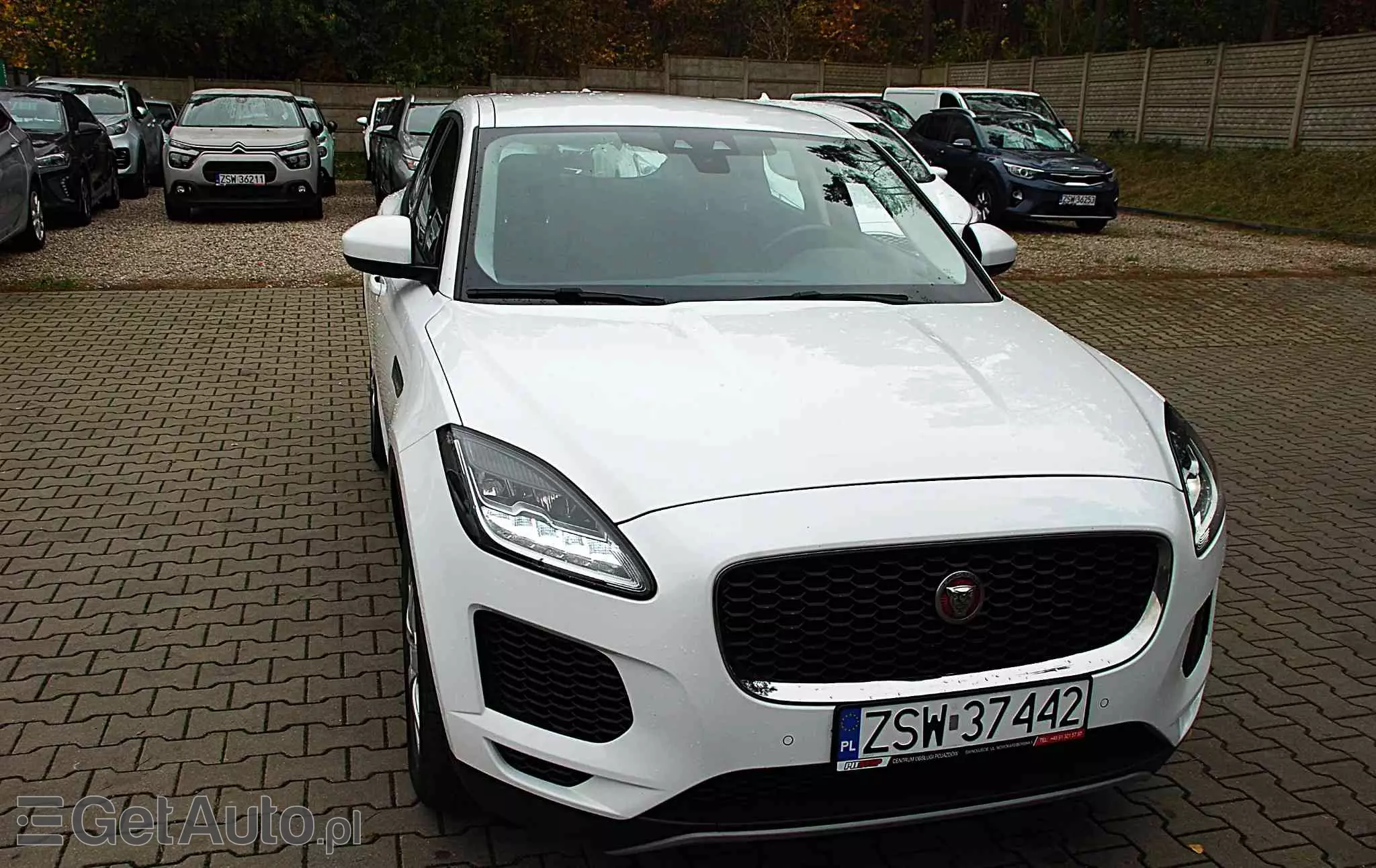 JAGUAR E-Pace D150 R-Dynamic