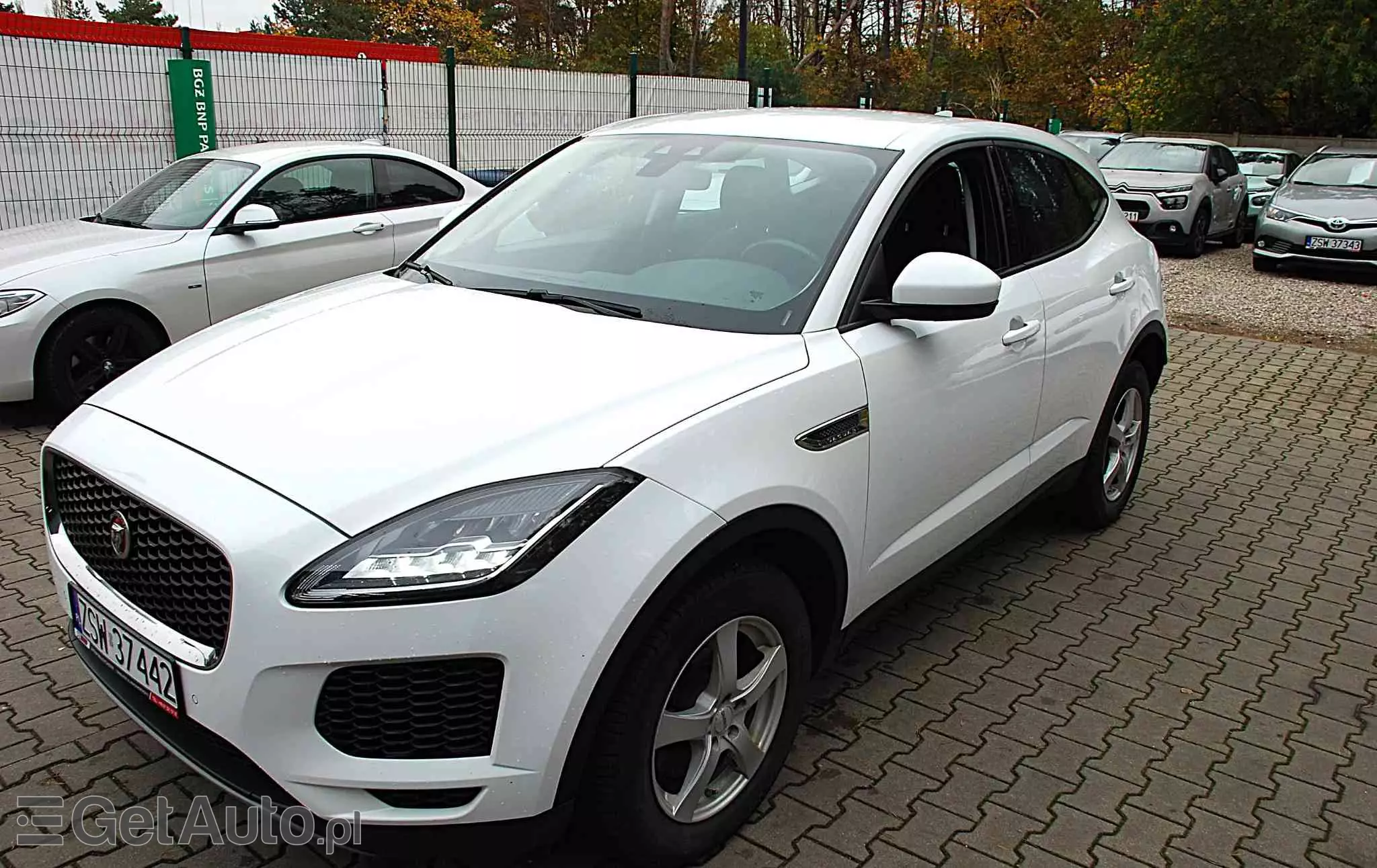 JAGUAR E-Pace D150 R-Dynamic