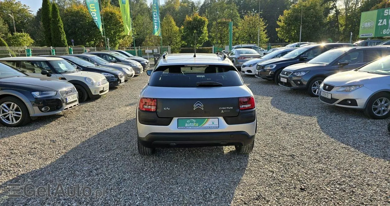 CITROËN C4 Cactus 1.6 Blue HDi Shine