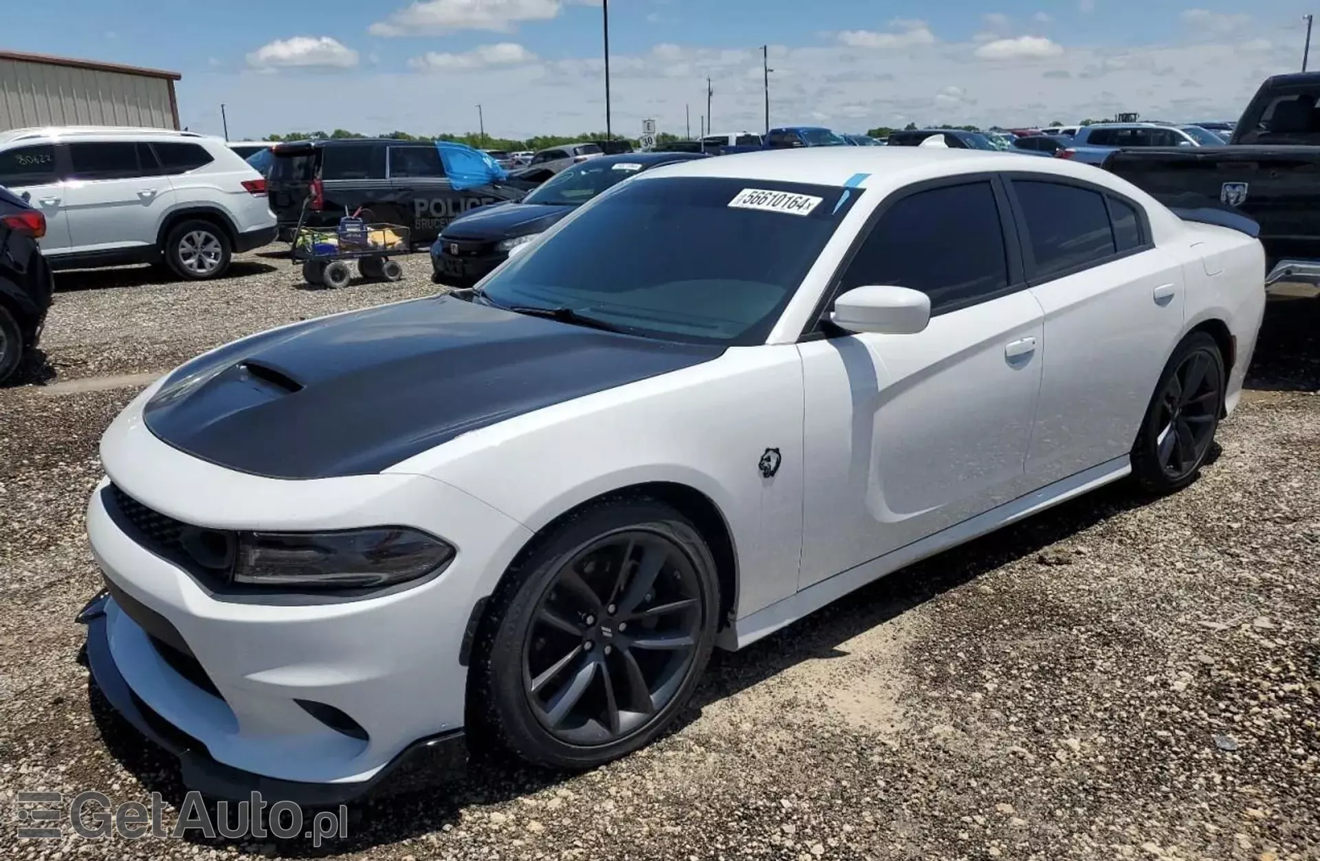 DODGE Charger R/T Scat Pack 6.4 HEMI V8 (485 KM) Automatic