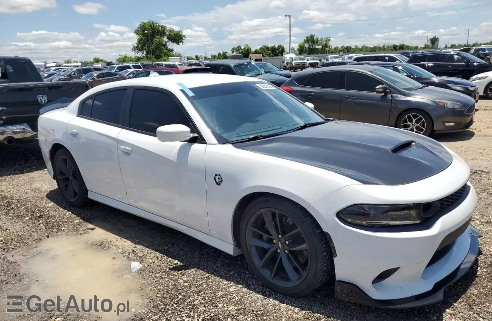 DODGE Charger R/T Scat Pack 6.4 HEMI V8 (485 KM) Automatic