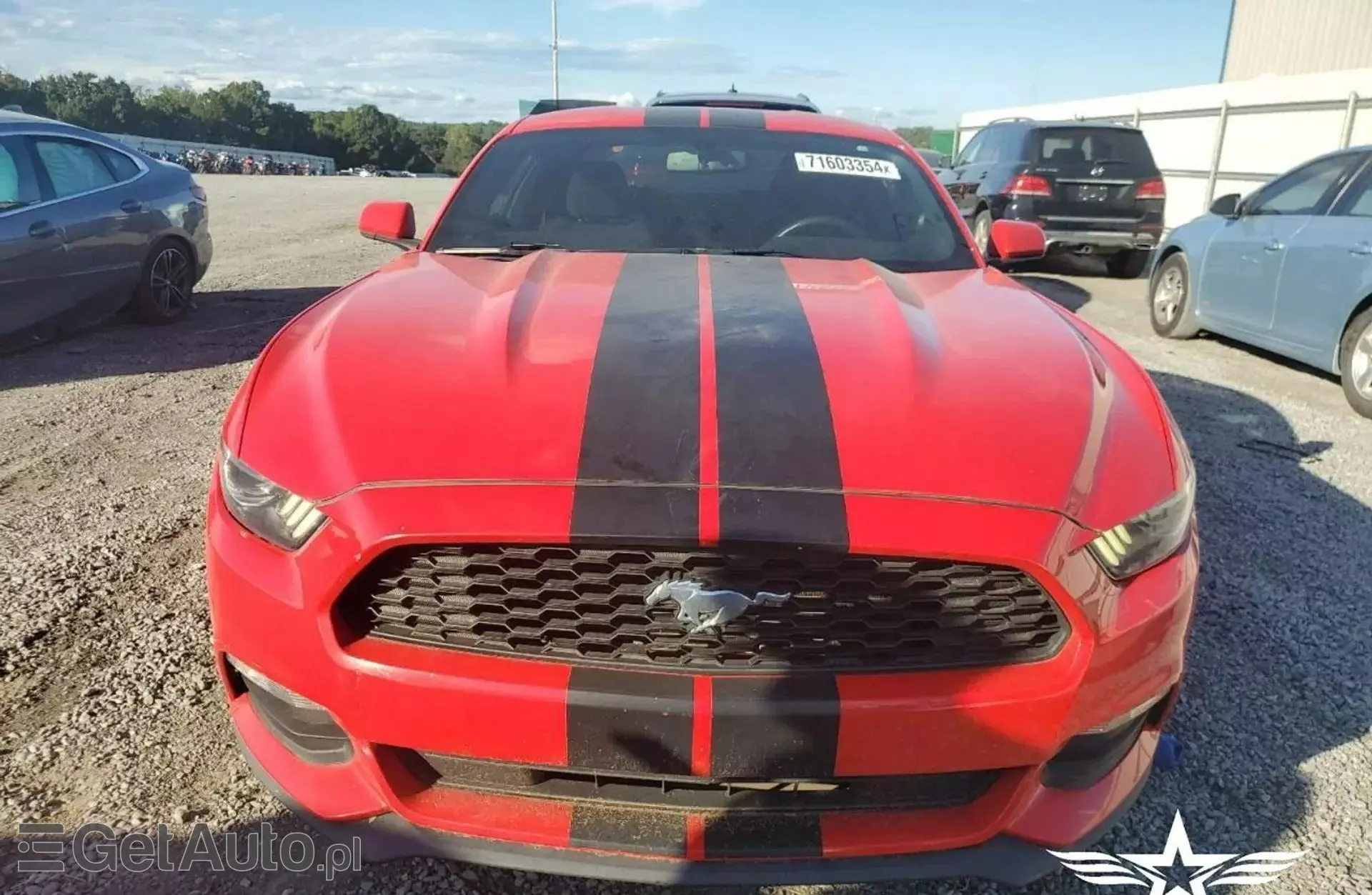 FORD Mustang 