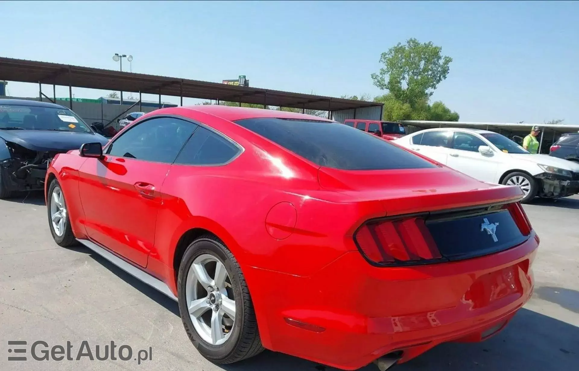 FORD Mustang 