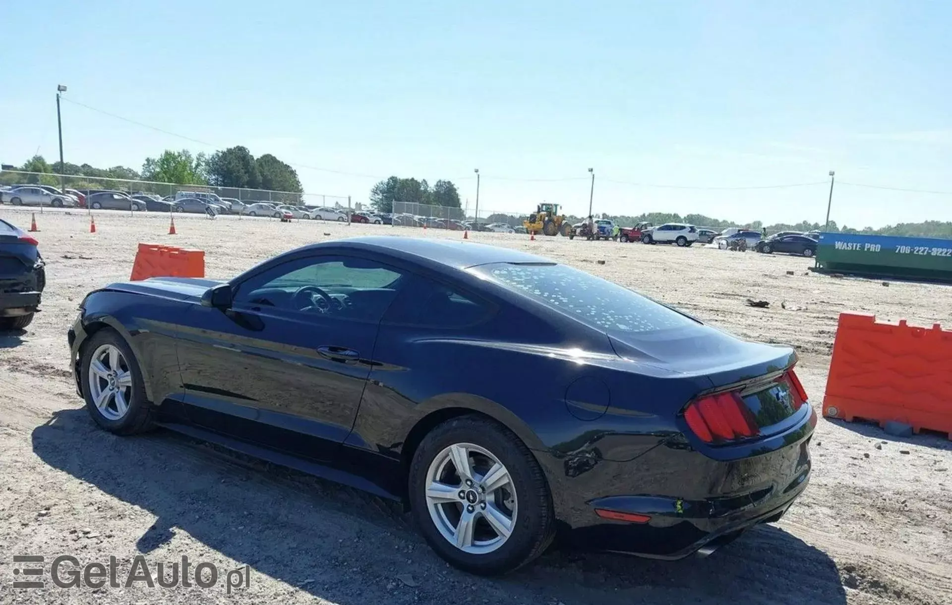 FORD Mustang 