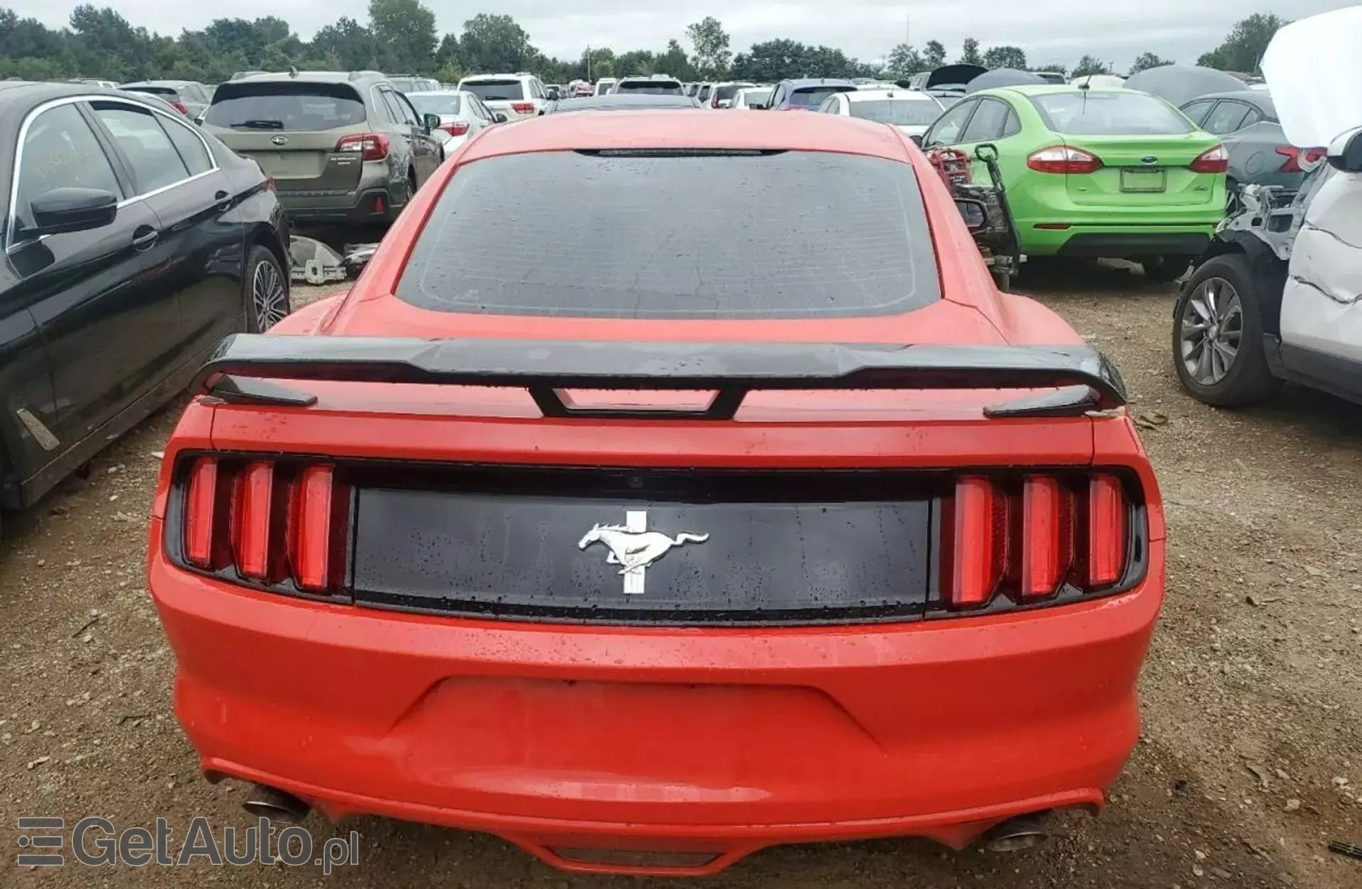 FORD Mustang 