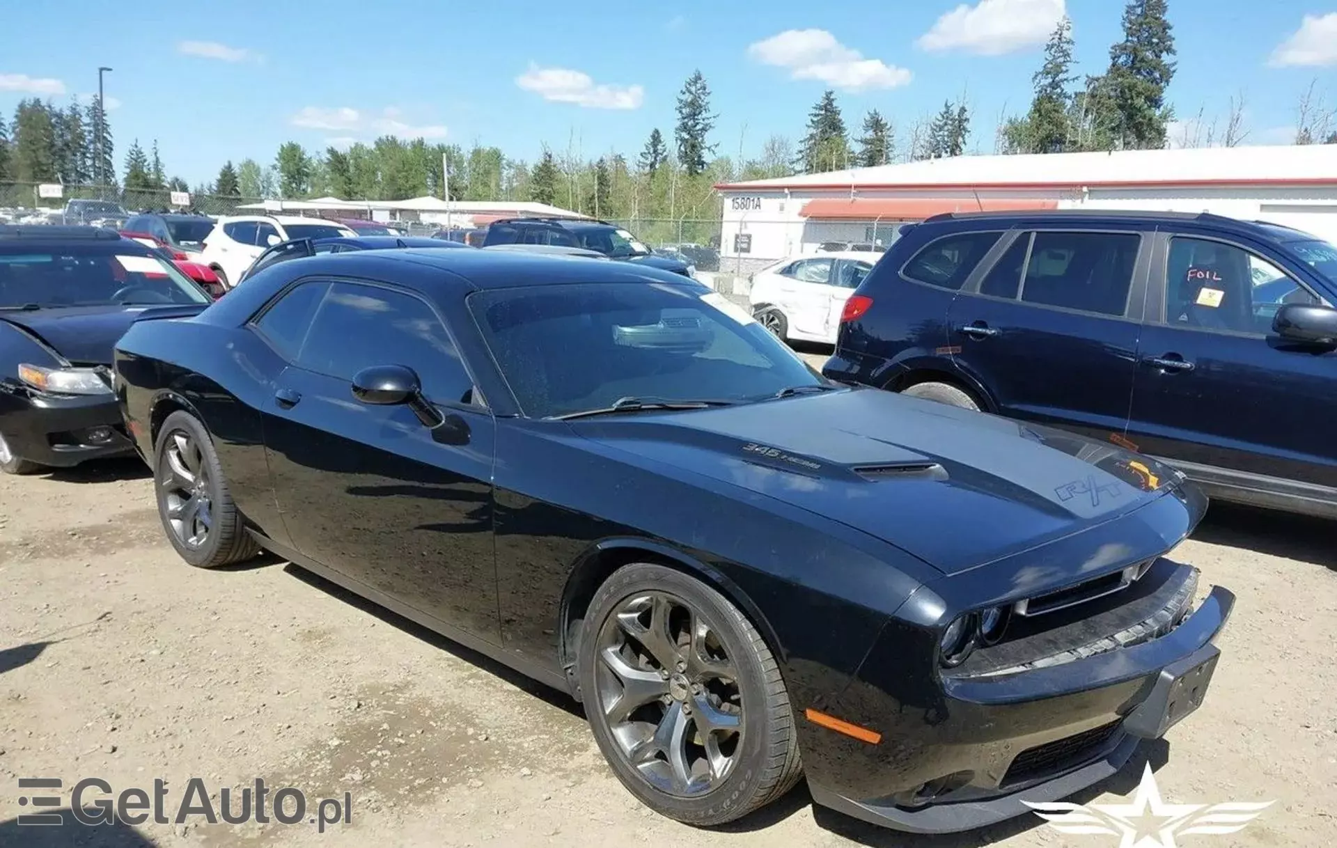 DODGE Challenger 