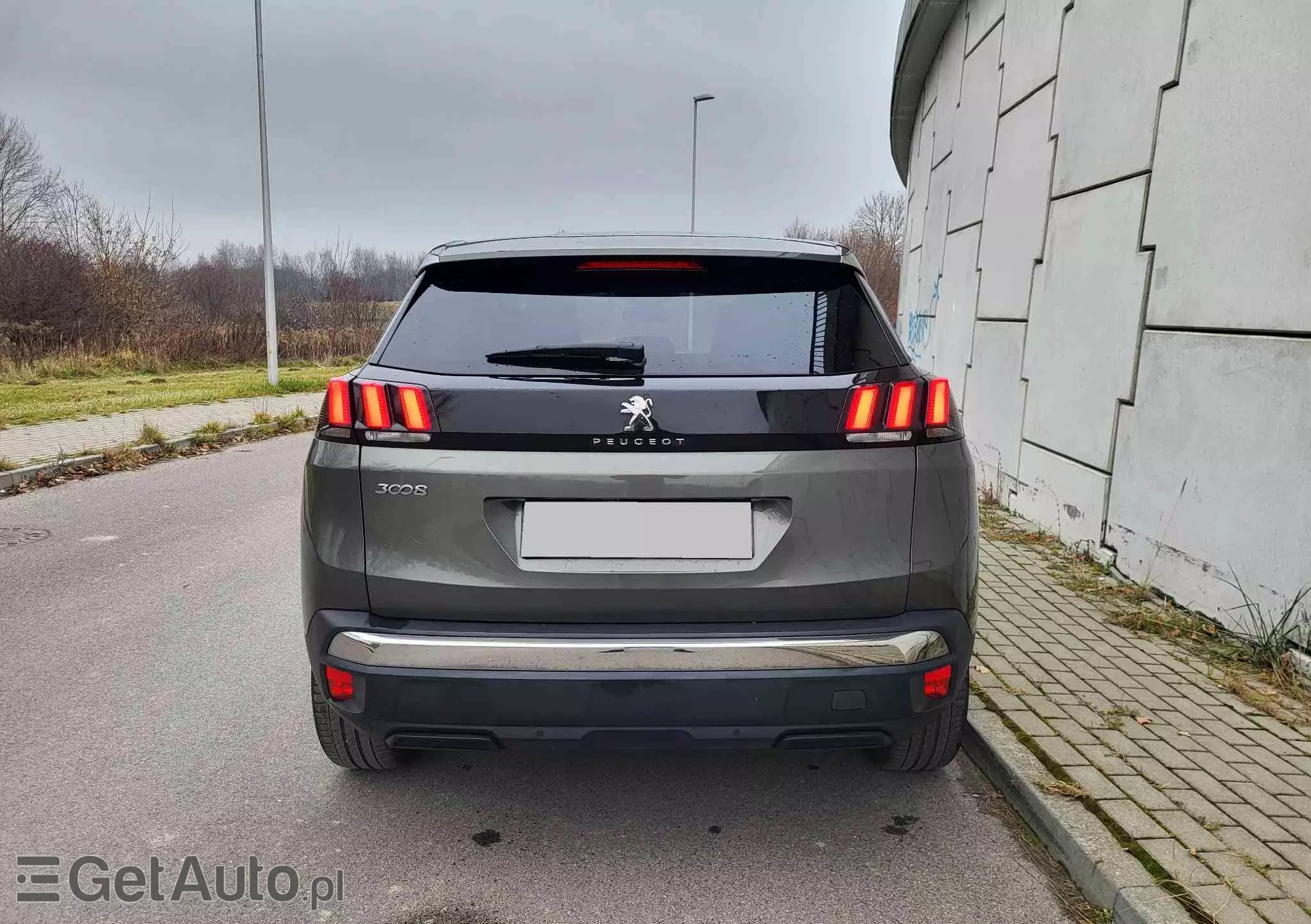 PEUGEOT 3008 