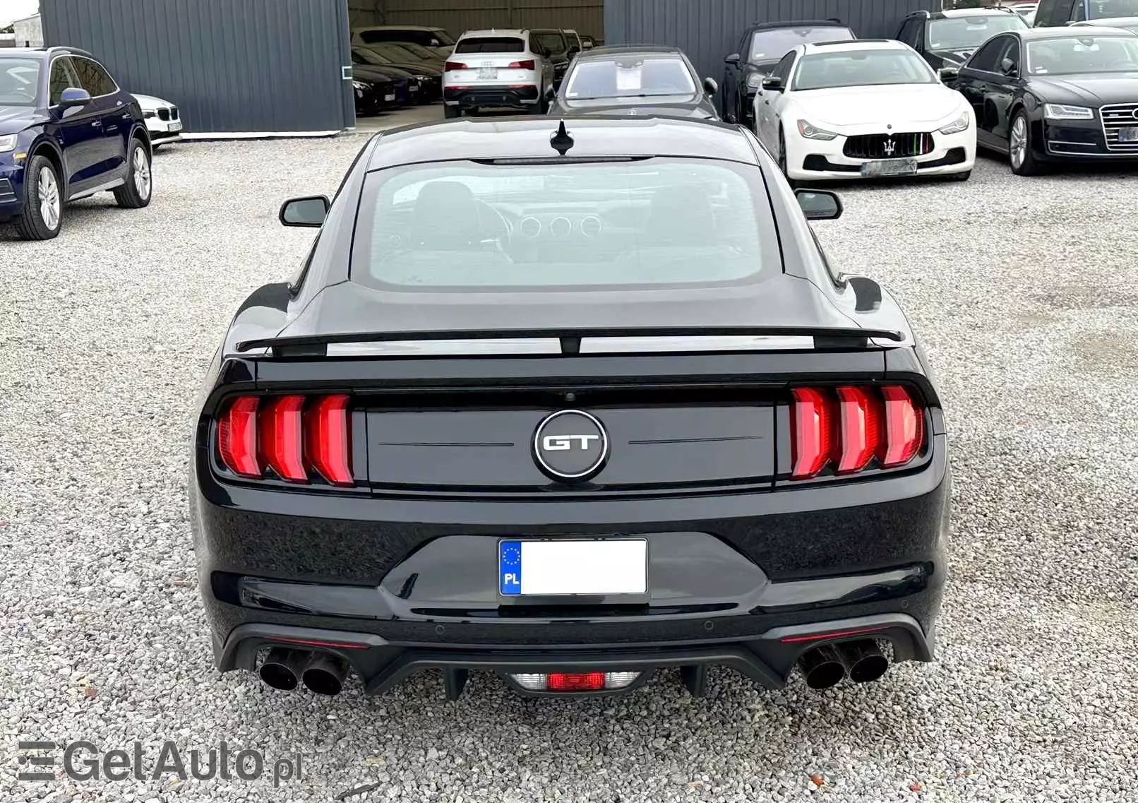 FORD Mustang 5.0 V8 Mach 1