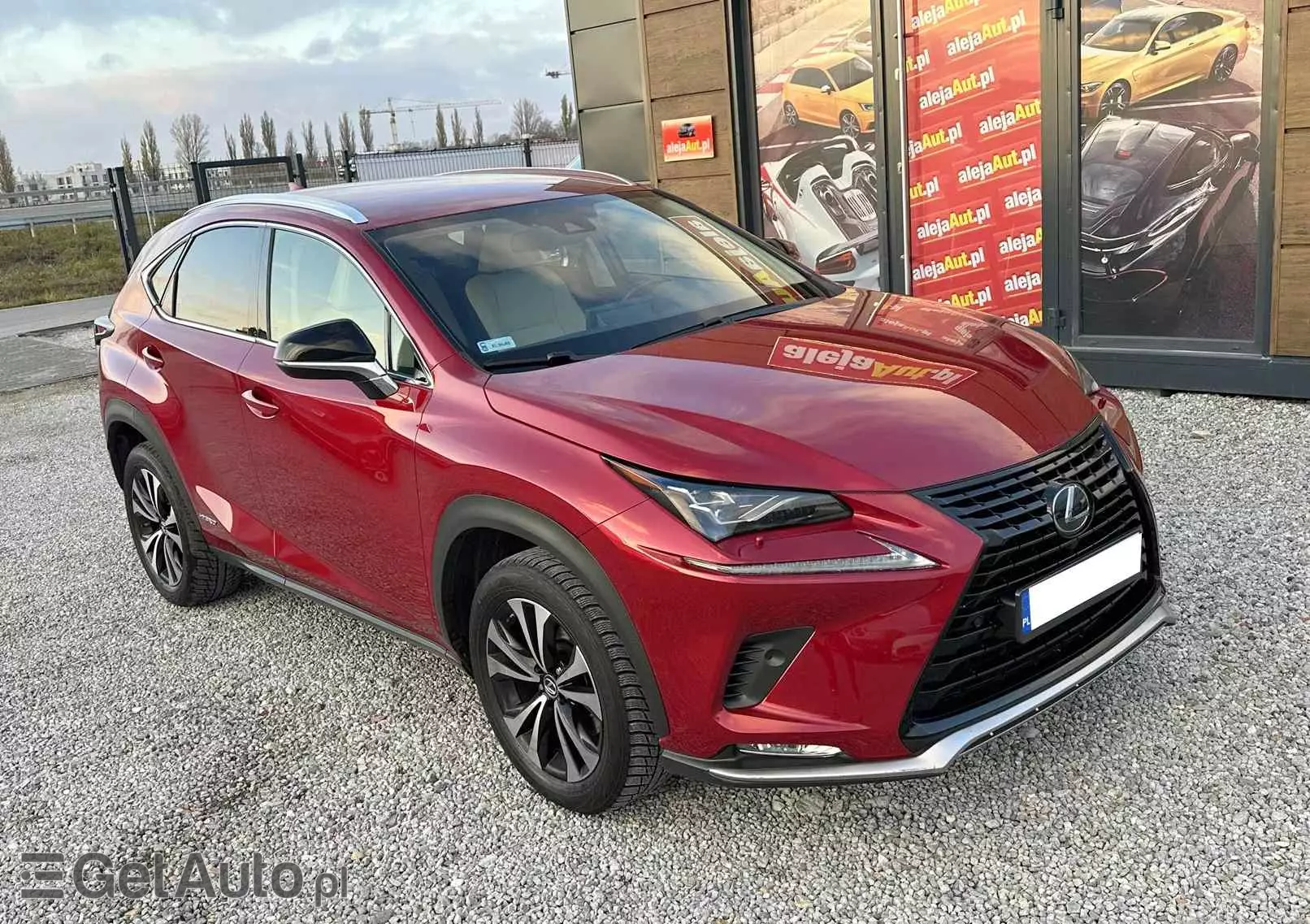 LEXUS NX 300h Elegance + Business AWD