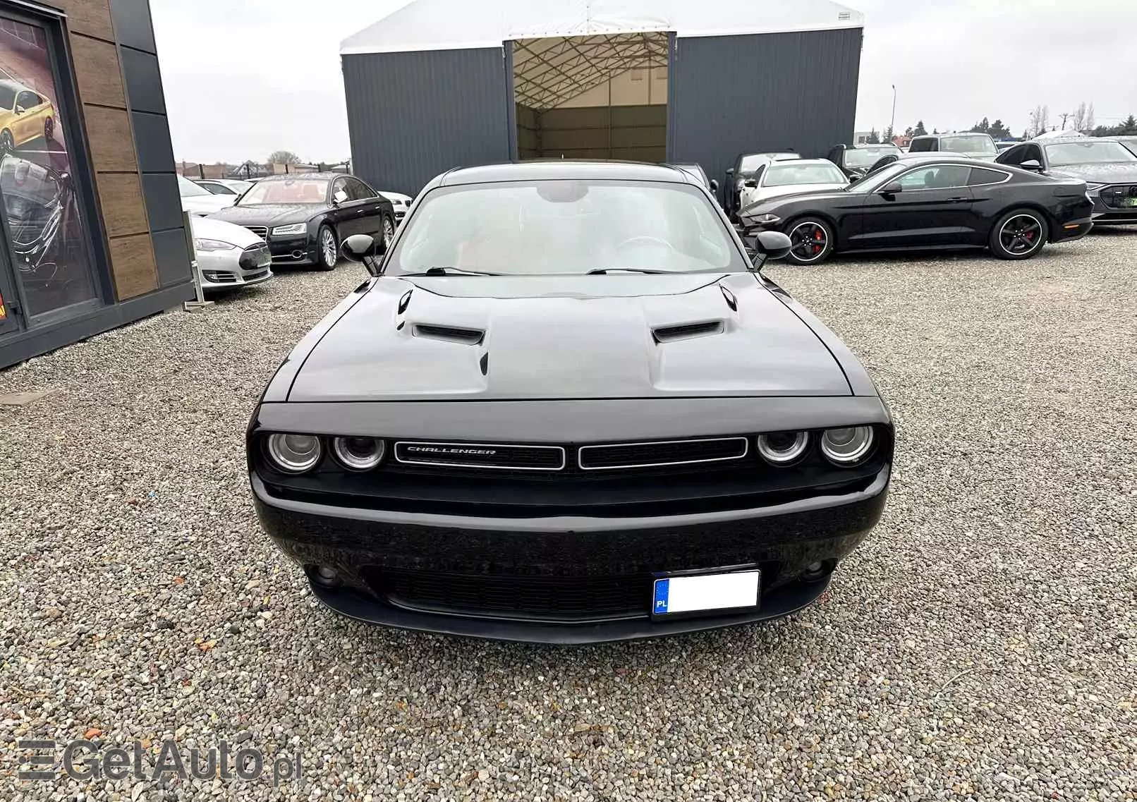 DODGE Challenger Automatik SXT Plus