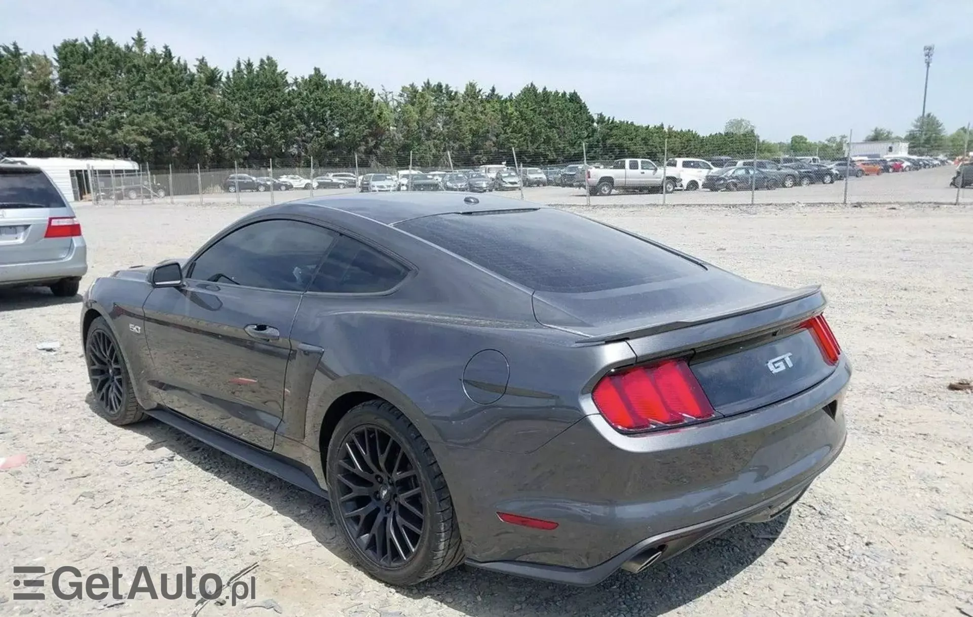 FORD Mustang 