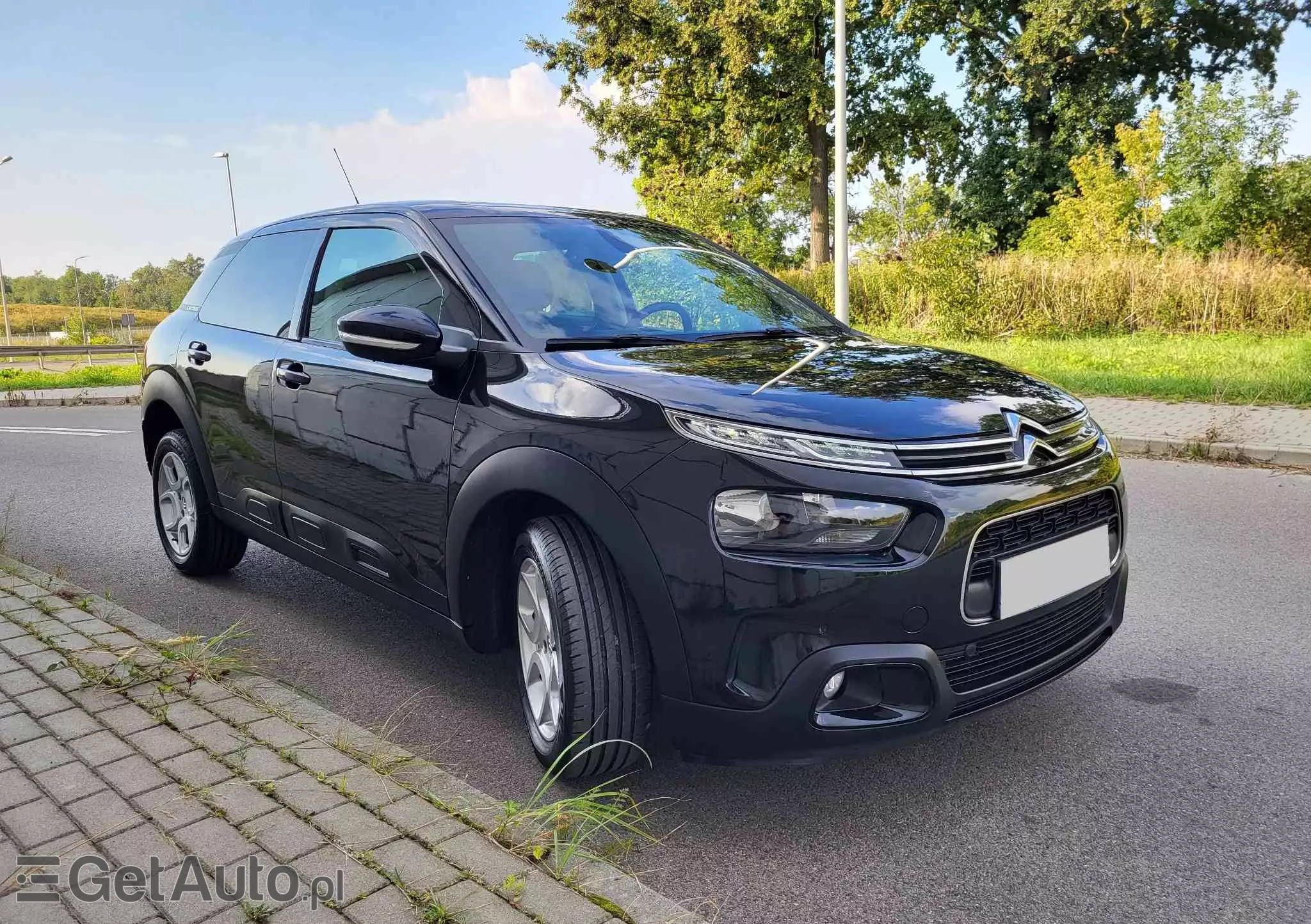 CITROËN C4 Cactus 