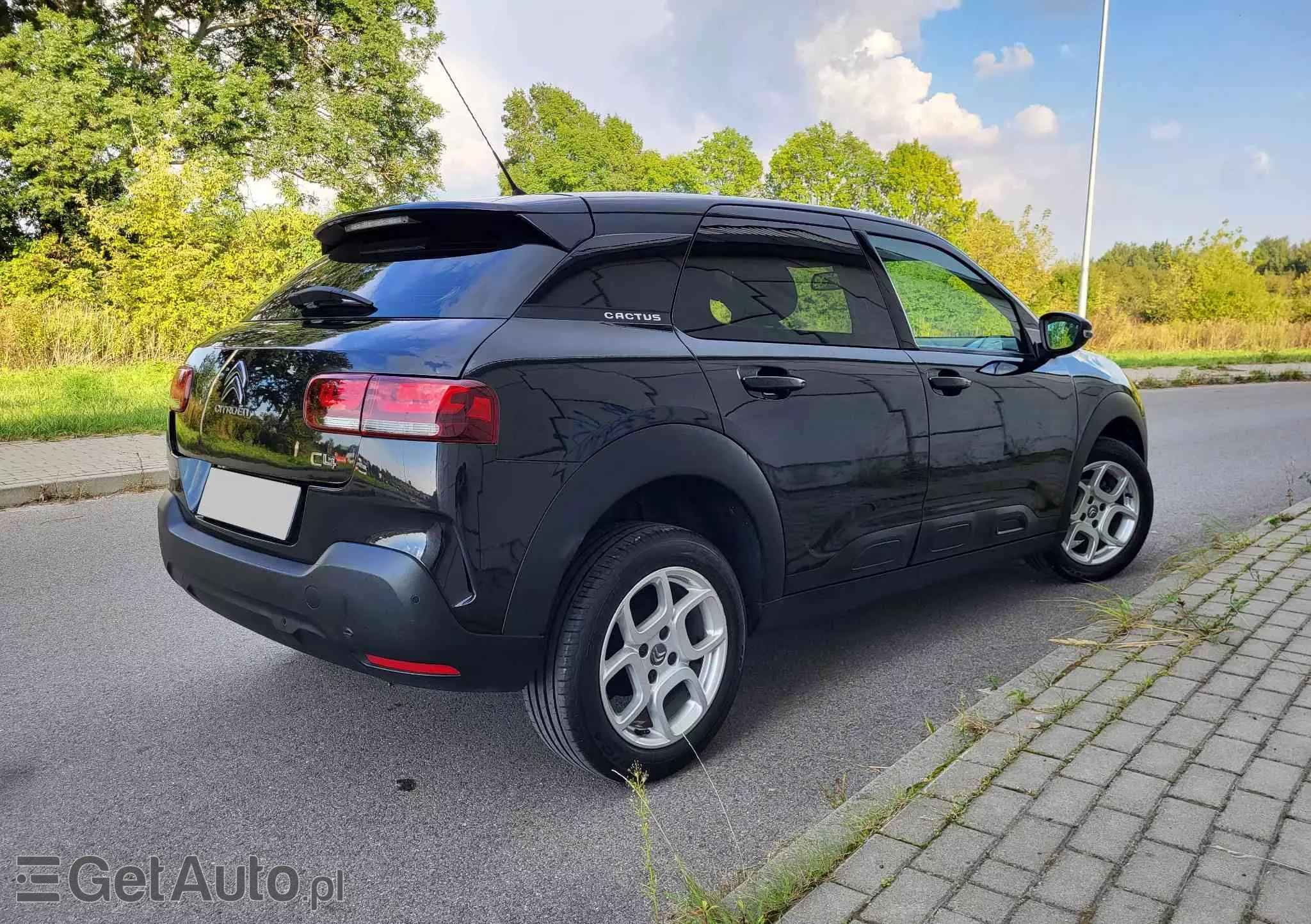 CITROËN C4 Cactus 