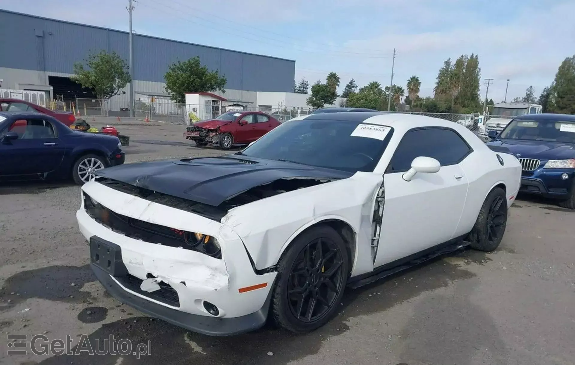 DODGE Challenger 