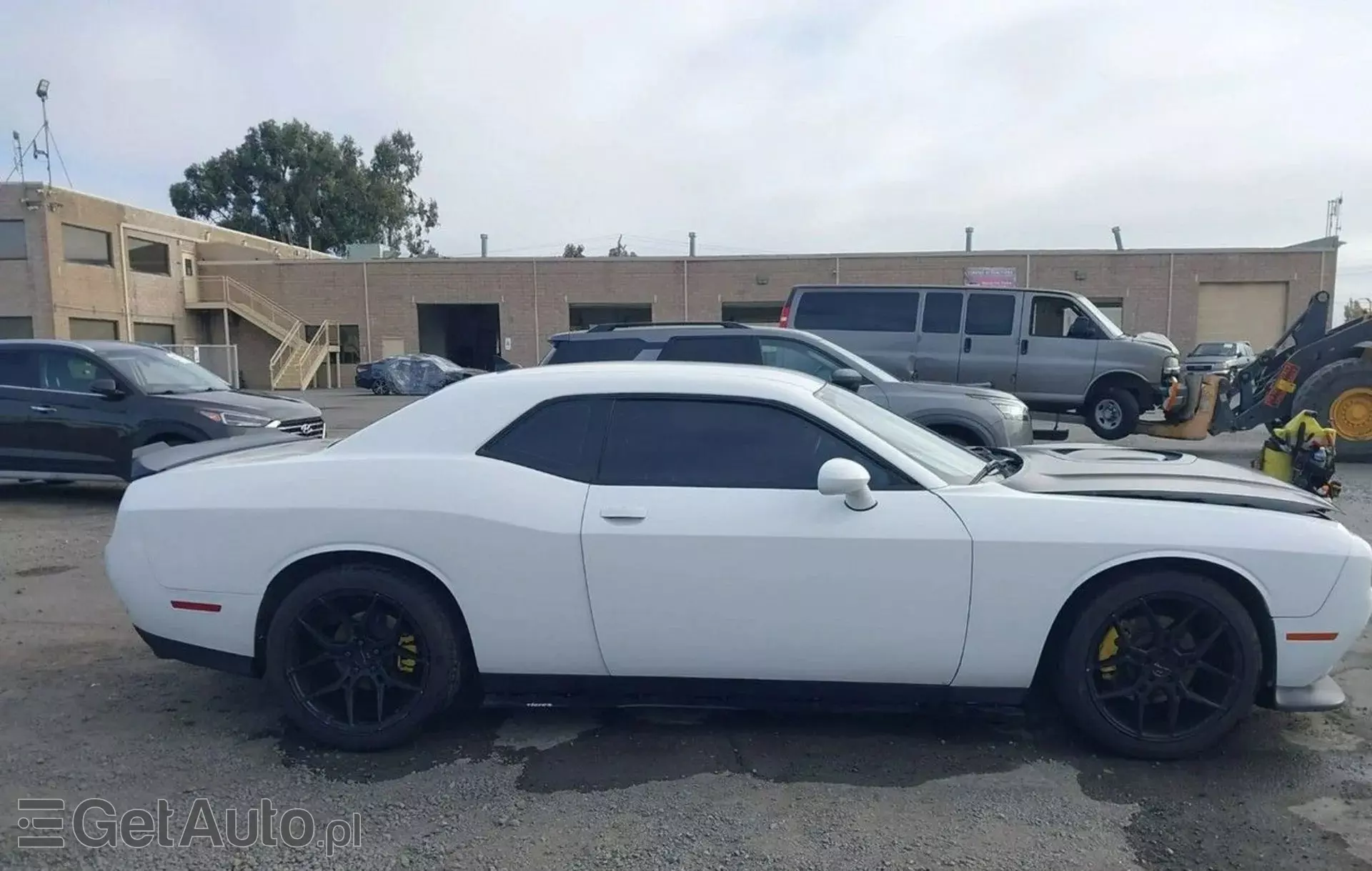 DODGE Challenger 