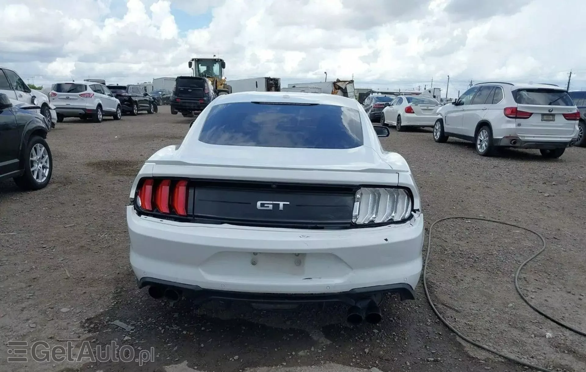 FORD Mustang 