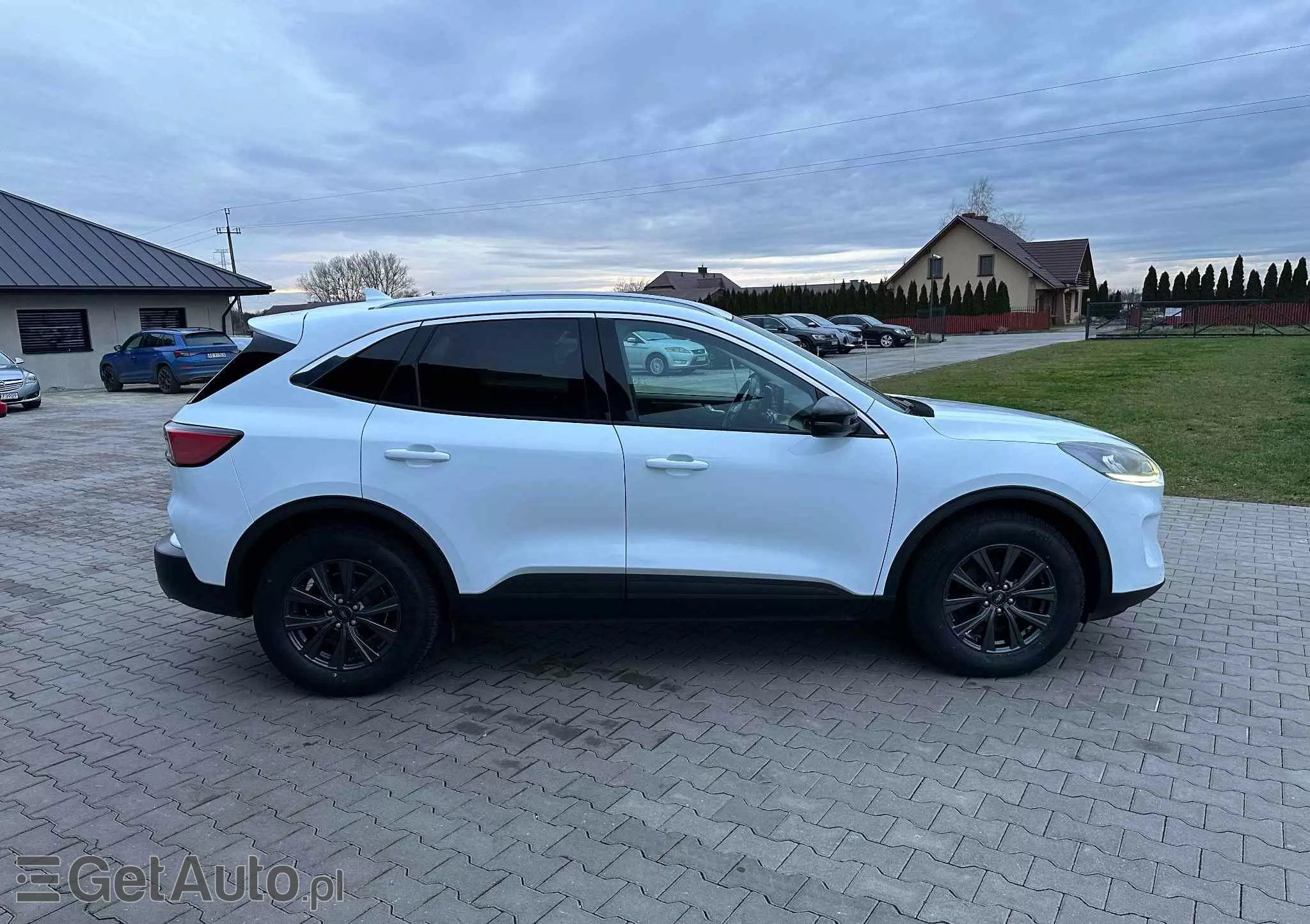 FORD Kuga 2.0 EcoBlue Hybrid TITANIUM