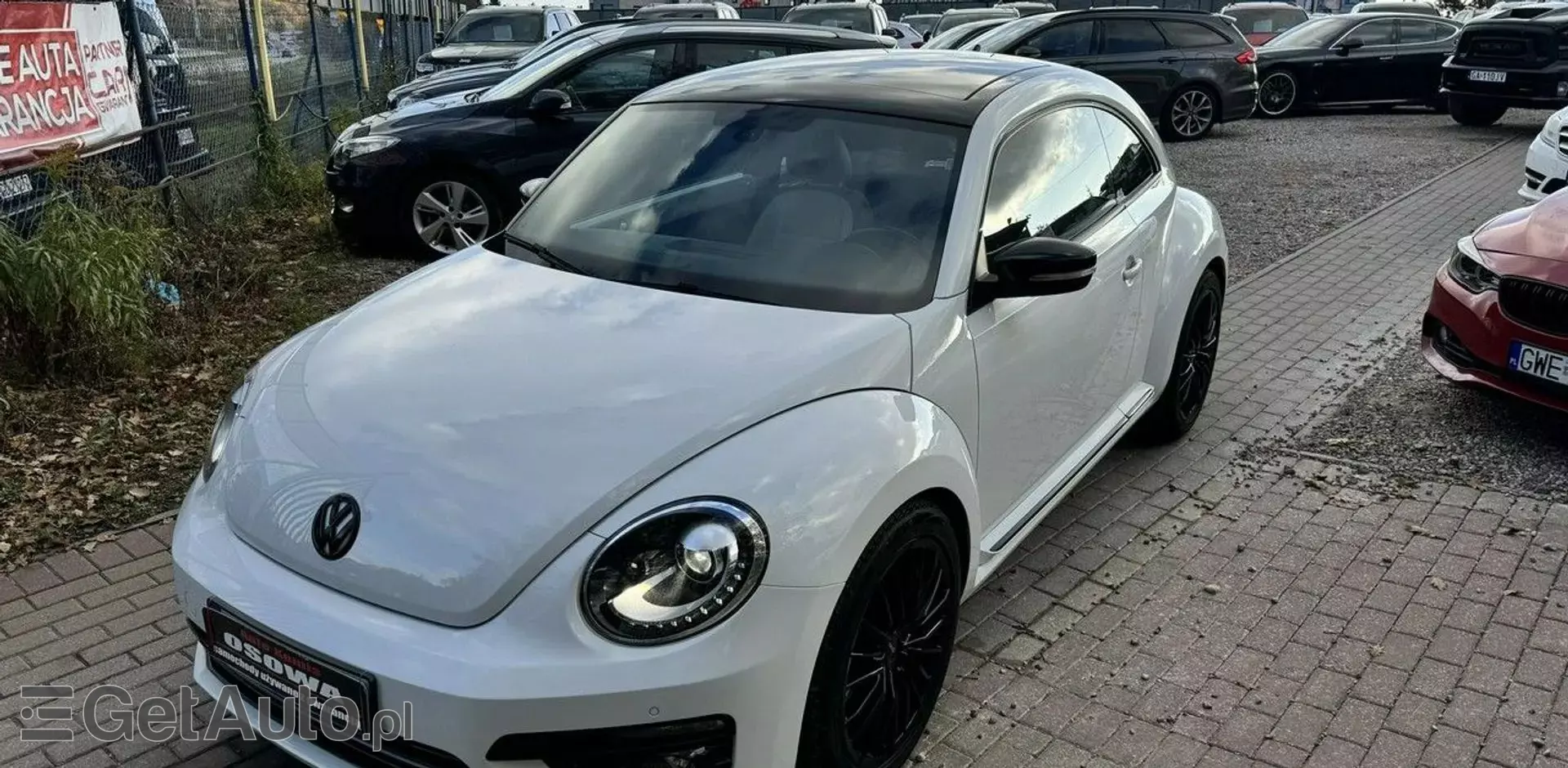 VOLKSWAGEN Beetle 