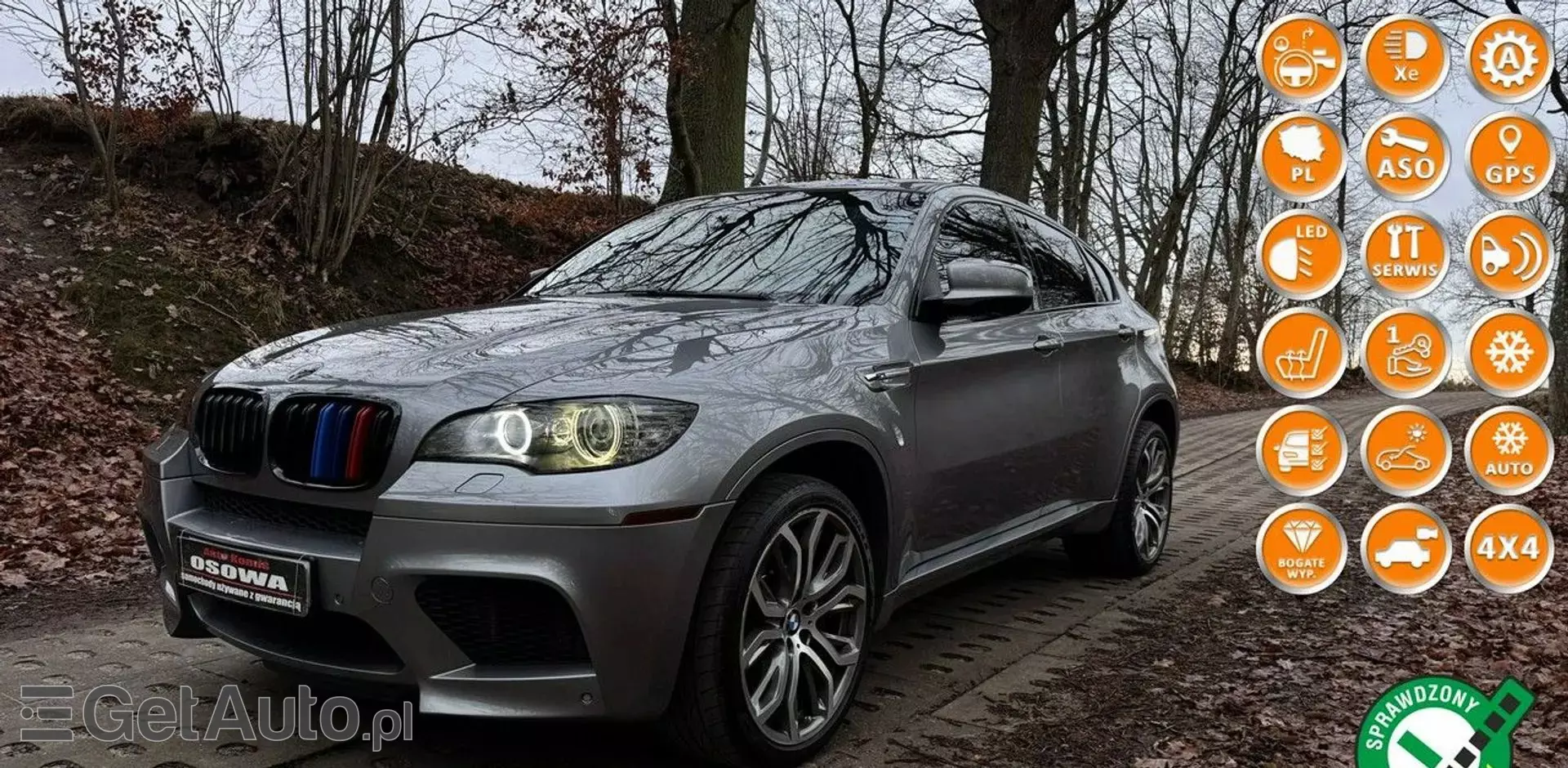 BMW X6 M 