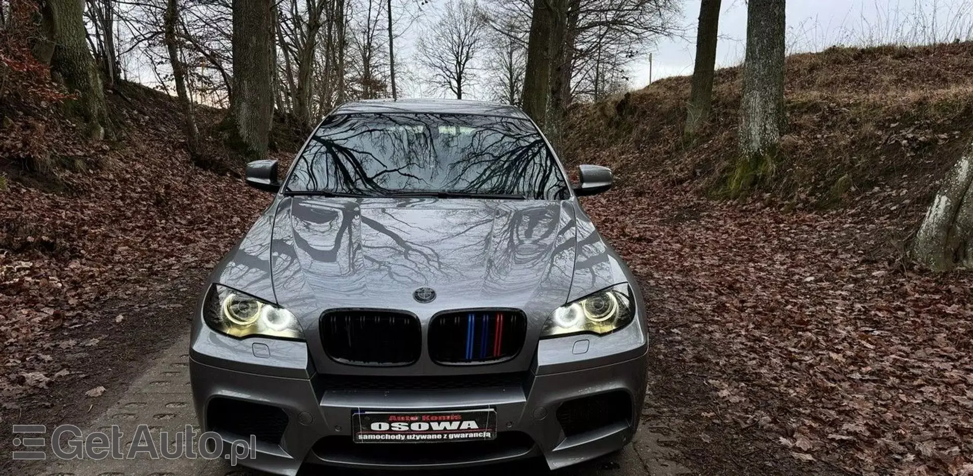 BMW X6 M 