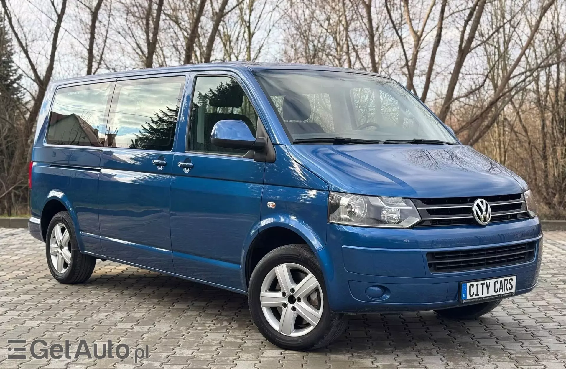 VOLKSWAGEN Multivan 