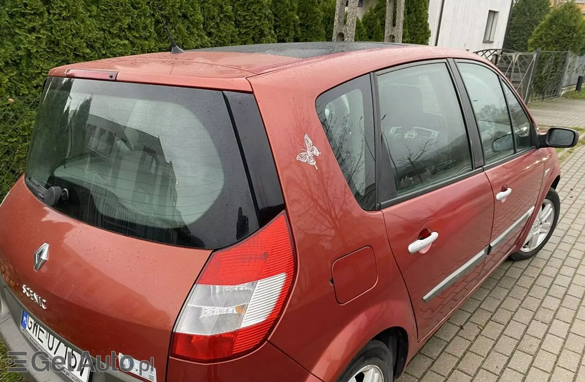 RENAULT Scenic 