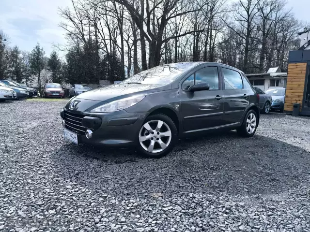 PEUGEOT 307 