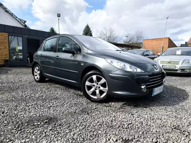 PEUGEOT 307 