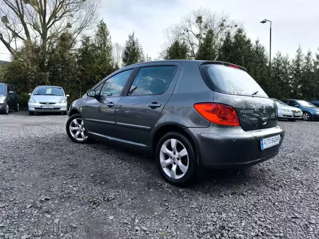 PEUGEOT 307 