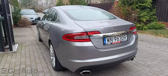 JAGUAR Xf Luxury