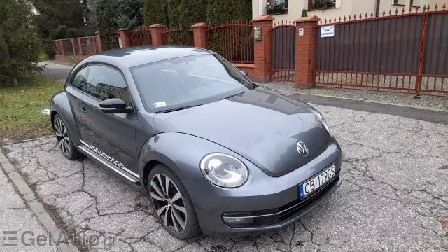 VOLKSWAGEN Beetle/New Beetle/Garbus Beetle