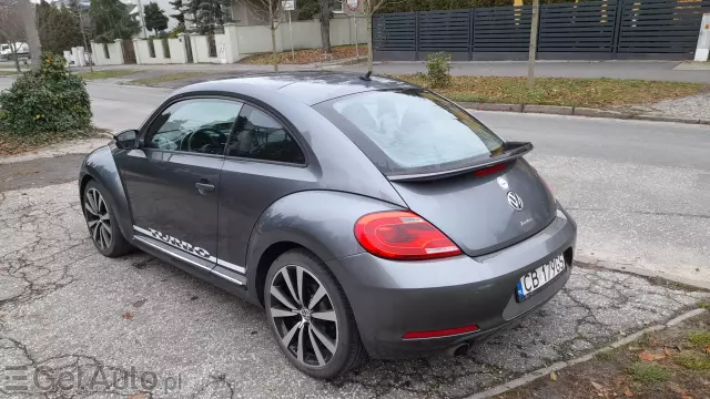 VOLKSWAGEN Beetle/New Beetle/Garbus Beetle