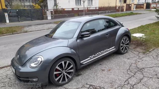 VOLKSWAGEN Beetle/New Beetle/Garbus Beetle