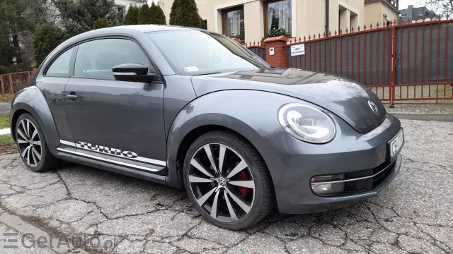 VOLKSWAGEN Beetle/New Beetle/Garbus Beetle