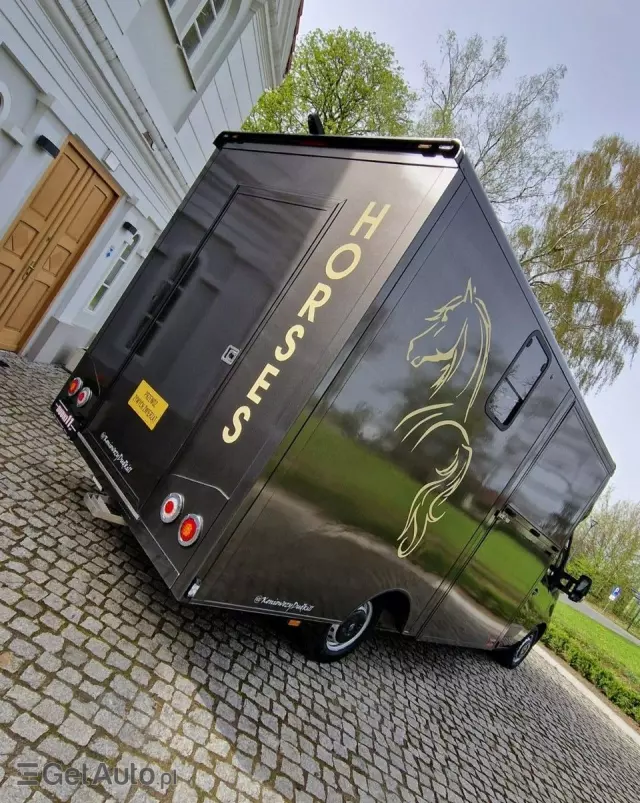 OPEL Movano Koniowóz 