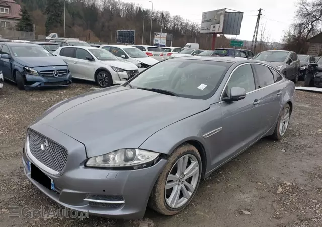 JAGUAR XJ Luxury