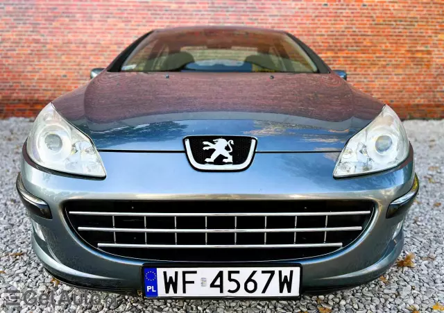 PEUGEOT 407 