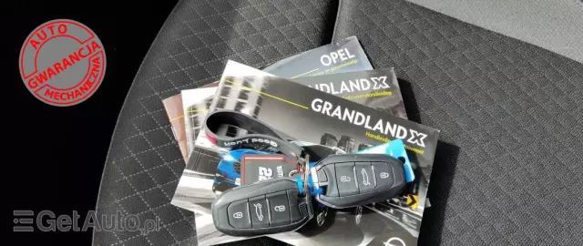 OPEL Grandland X 