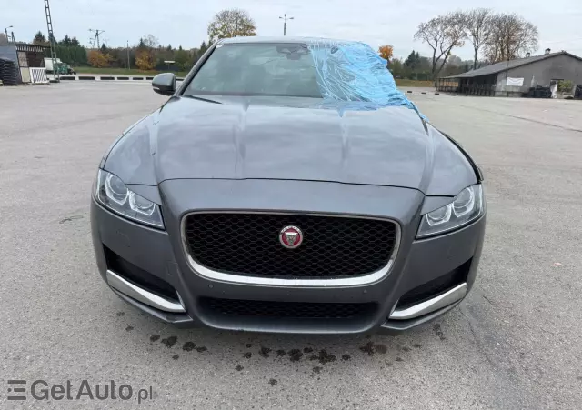 JAGUAR XF E-Performance Prestige