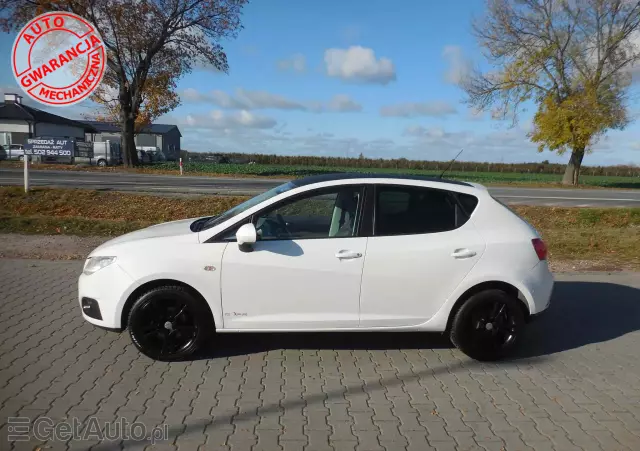 SEAT Ibiza 1.4 16V Copa