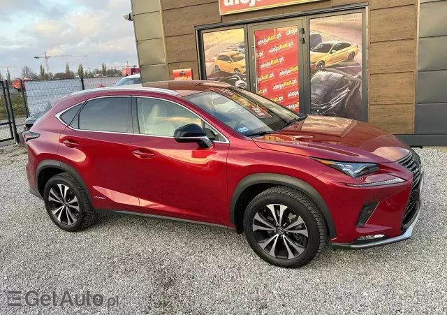 LEXUS NX 300h Elegance + Business AWD