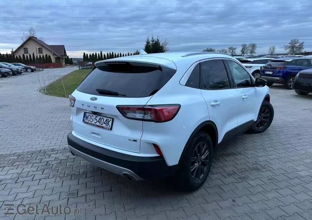 FORD Kuga 2.0 EcoBlue Hybrid TITANIUM