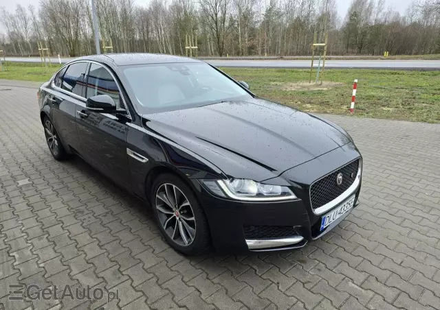 JAGUAR XF 2.0 i4D Pure