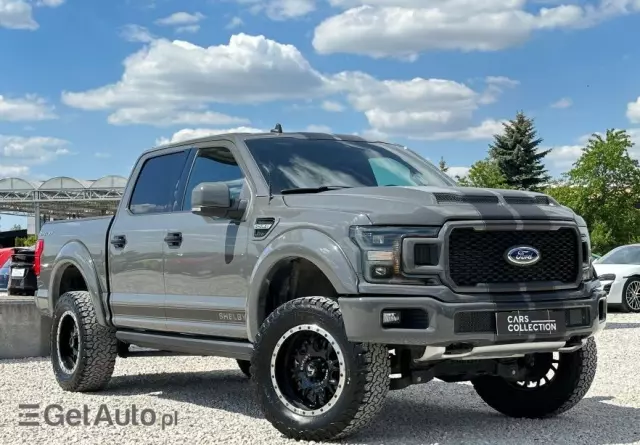 FORD F150 